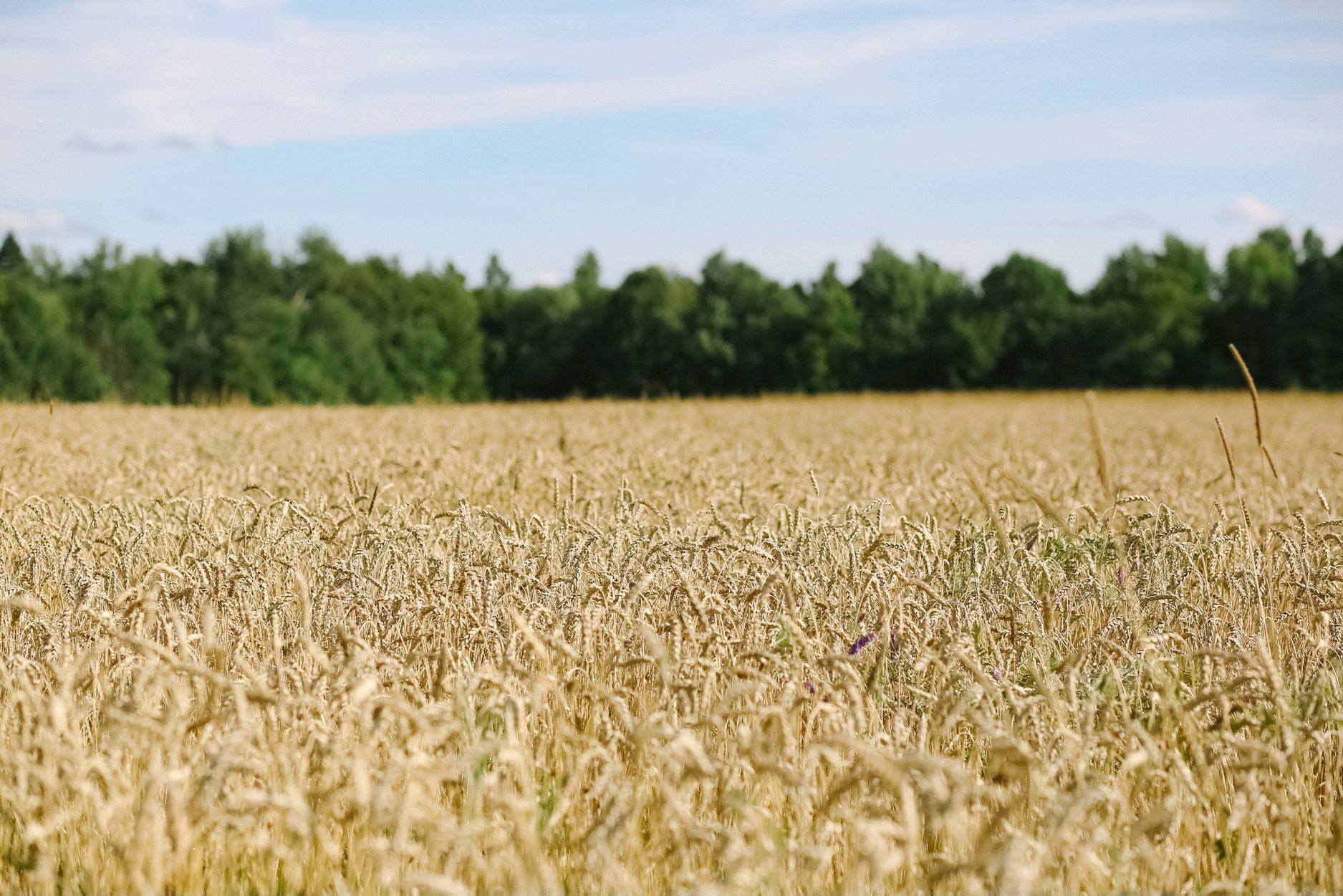 Find A Farm Maine FarmLink